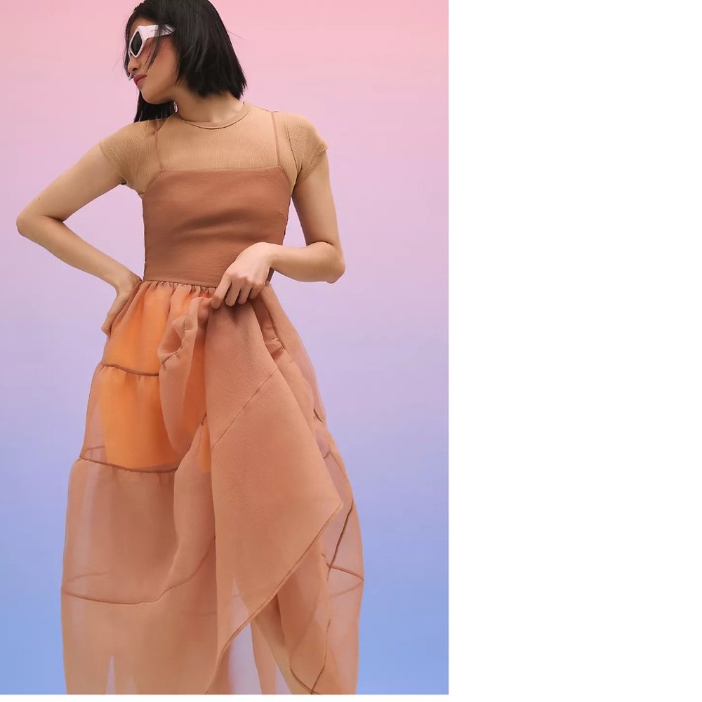 Anthropologie OhSevenDays Tiered Sheer Midi Dress size S new witht ag - Picture 5 of 9